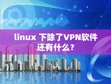 linux 下除了VPN软件还有什么？