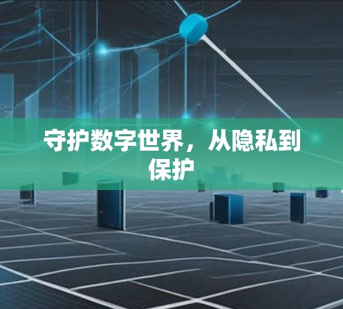 守护数字世界，从隐私到保护