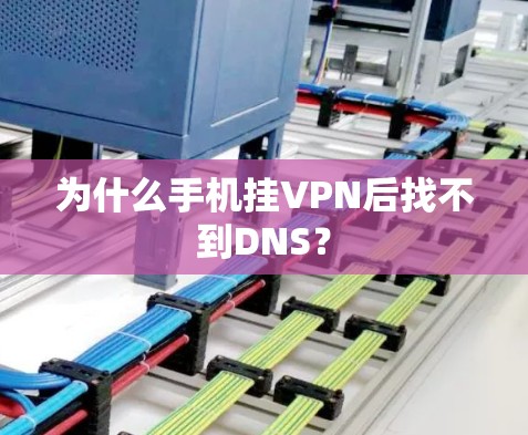为什么手机挂VPN后找不到DNS？