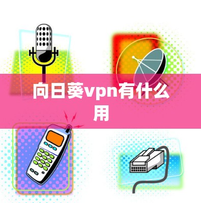向日葵vpn有什么用