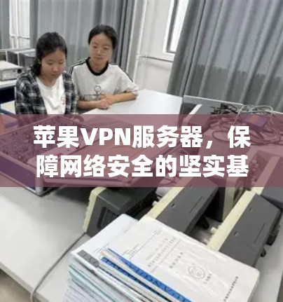 苹果VPN服务器，保障网络安全的坚实基础