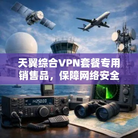 天翼综合VPN套餐专用销售品，保障网络安全的可靠选择