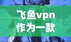 飞鱼vpn作为一款在线应用或网站，可能有特定的使用政策和VIP会员的规定。VIP会员的用户可能会因为以下原因无法使用或遇到问题