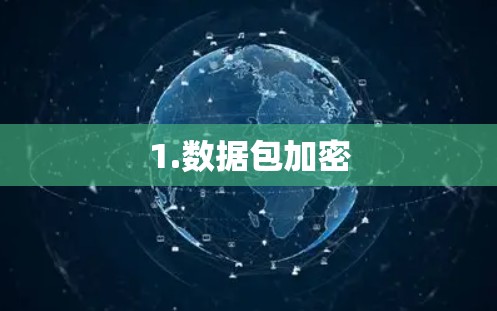 1.数据包加密