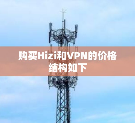 购买Hizi和VPN的价格结构如下