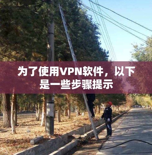 为了使用VPN软件，以下是一些步骤提示