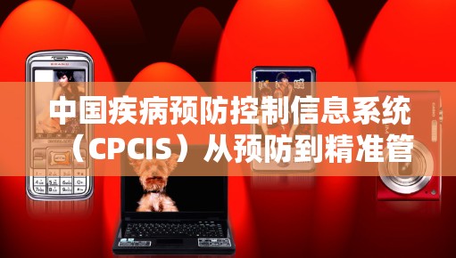 中国疾病预防控制信息系统（CPCIS）从预防到精准管理的数字化实践