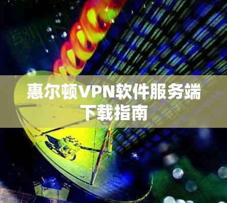 惠尔顿VPN软件服务端下载指南