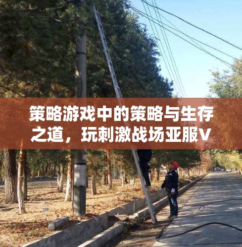 策略游戏中的策略与生存之道，玩刺激战场亚服VPN是什么？