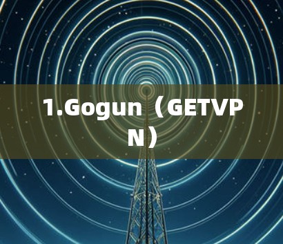 1.Gogun（GETVPN）