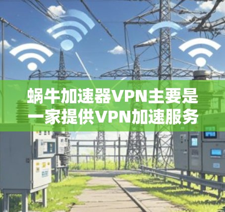 蜗牛加速器VPN主要是一家提供VPN加速服务的平台，旨在帮助用户更快地连接到互联网。蜗牛加速器VPN在不同国家和地区有不同的官网和服务内容，具体情况如下