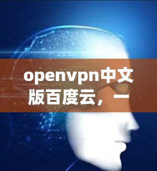 openvpn中文版百度云，一款可靠、安全的VPN选择