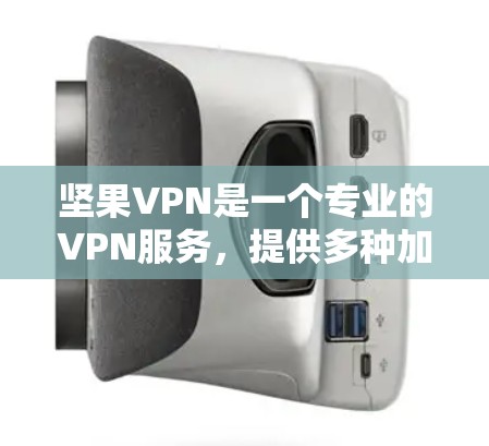 坚果VPN是一个专业的VPN服务，提供多种加密协议，如VPN、加密传输和数据安全服务。如果你无法找到坚果VPN的官方下载链接，可能需要尝试以下步骤