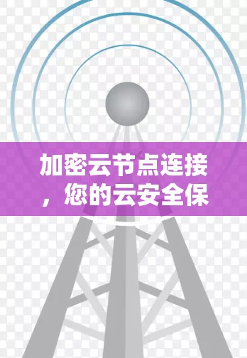 加密云节点连接，您的云安全保护专家