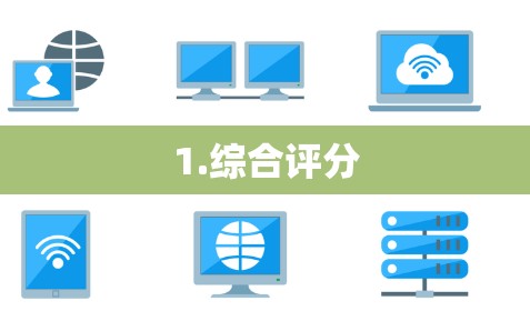 1.综合评分