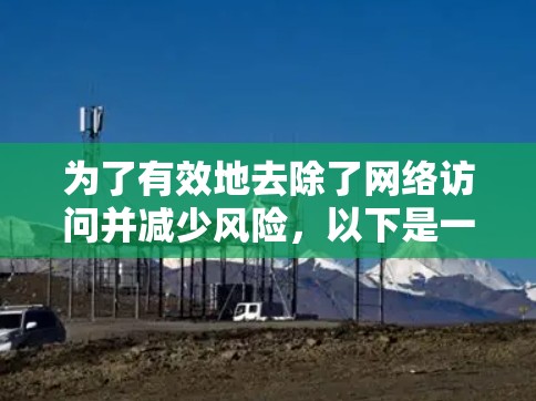 为了有效地去除了网络访问并减少风险，以下是一个有条理的指南