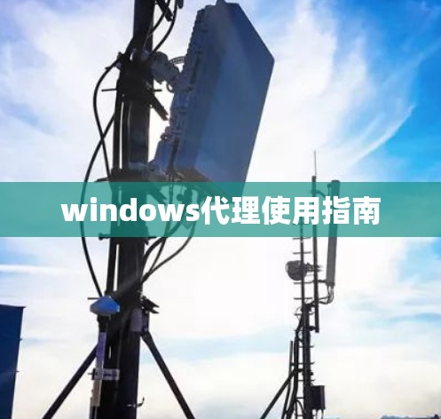 windows代理使用指南
