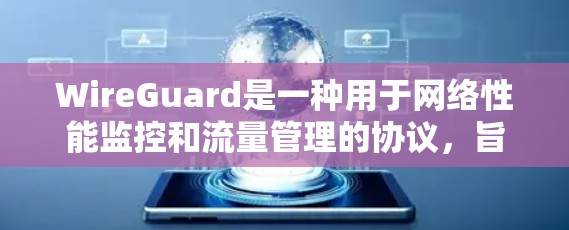 WireGuard是一种用于网络性能监控和流量管理的协议，旨在实时监控和自动调整网络流量，以减少网络资源的使用，提高网络性能。以下是对 WireGuard网络性能分析的详细学习路径