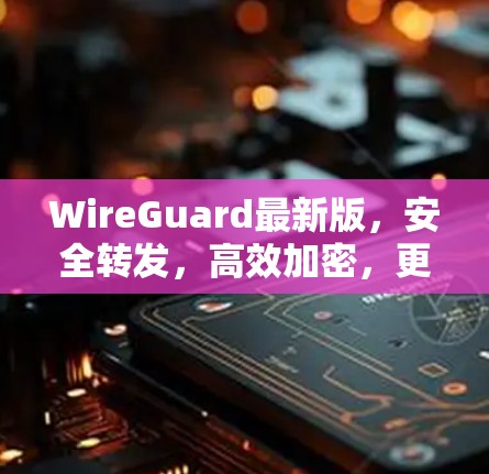 WireGuard最新版，安全转发，高效加密，更智能