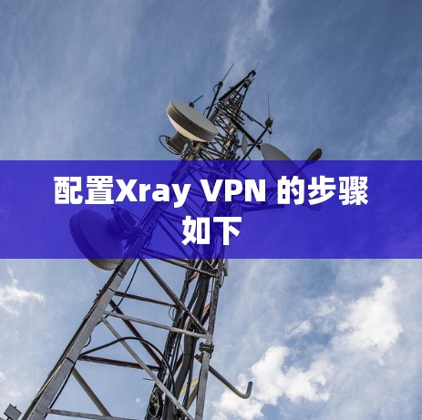 配置Xray VPN 的步骤如下