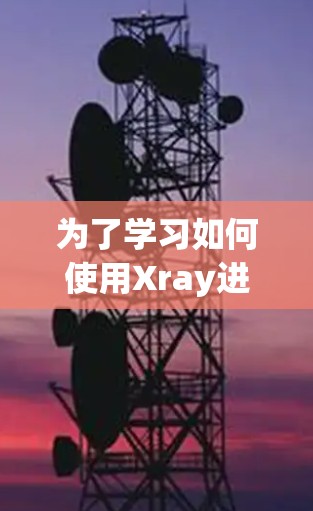为了学习如何使用Xray进行图像分析，以下是一个详细的步骤指南