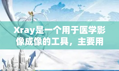 Xray是一个用于医学影像成像的工具，主要用于诊断，尤其在肿瘤和血管成像方面。以下是详细的使用说明