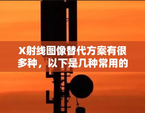 X射线图像替代方案有很多种，以下是几种常用的工具推荐，供你选择