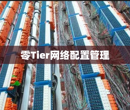 零Tier网络配置管理