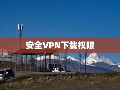 安全VPN下载权限