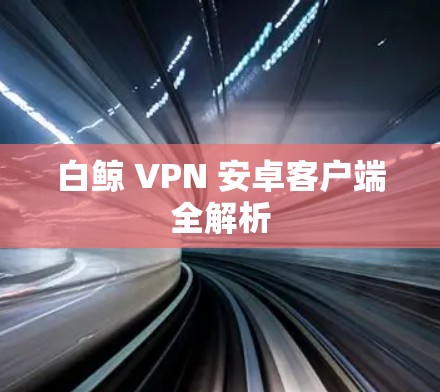 白鲸 VPN 安卓客户端全解析