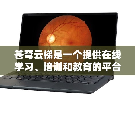 苍穹云梯是一个提供在线学习、培训和教育的平台。为了访问其官方网站，可以按照以下步骤进行