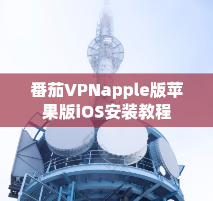 番茄VPNapple版苹果版iOS安装教程