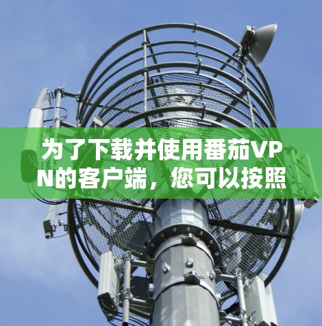 为了下载并使用番茄VPN的客户端，您可以按照以下步骤操作