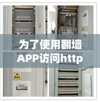 为了使用翻墙APP访问https:www.example.com，您可以按照以下步骤进行