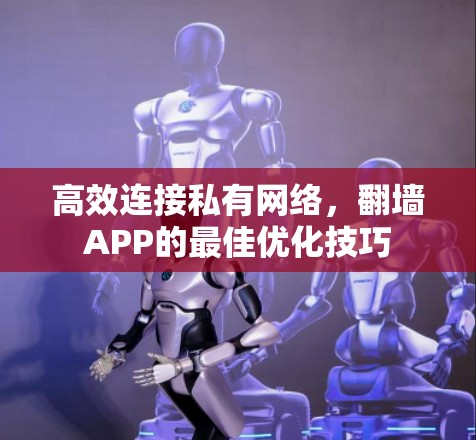 高效连接私有网络，翻墙APP的最佳优化技巧