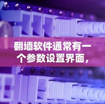 翻墙软件通常有一个参数设置界面,可以帮助用户配置网络设备、端口和安全设置。以下是详细的步骤 翻墙软件通常有一个参数设置界面,可以帮助用户配置网络设备、端口和安全设置。以下是详细的步骤