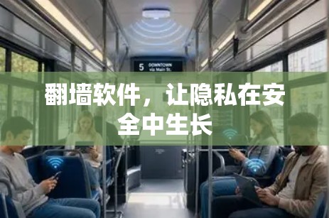 翻墙软件,让隐私在安全中生长 翻墙软件,让隐私在安全中生长