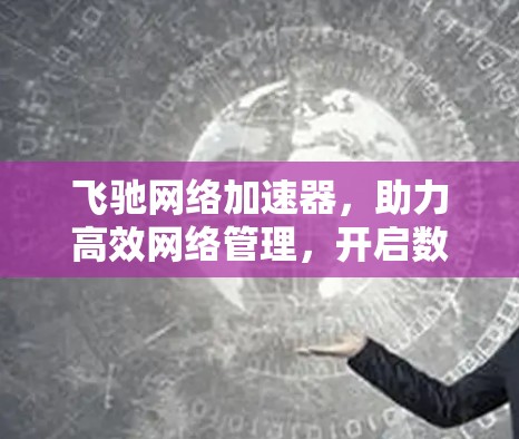 飞驰网络加速器,助力高效网络管理,开启数字时代新范式 飞驰网络加速器,助力高效网络管理,开启数字时代新范式