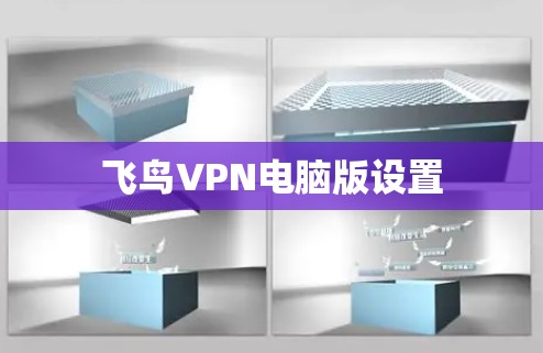 飞鸟VPN电脑版设置 飞鸟VPN电脑版设置