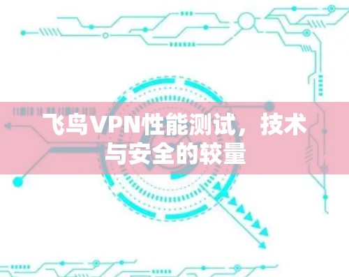 飞鸟VPN性能测试，技术与安全的较量