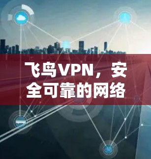 飞鸟VPN,安全可靠的网络探索 飞鸟VPN,安全可靠的网络探索