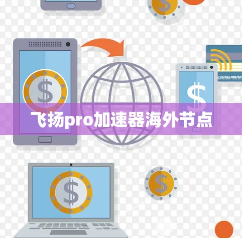 飞扬pro加速器海外节点 飞扬pro加速器海外节点