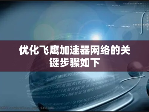优化飞鹰加速器网络的关键步骤如下 优化飞鹰加速器网络的关键步骤如下
